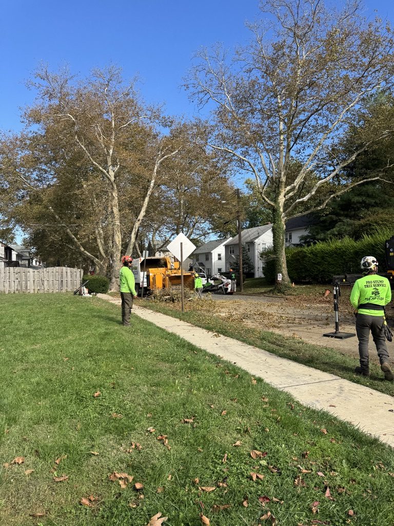Bandit brush chipper processing removal debris in residential Freehold, NJ — Pro-Stump Tree Service cleanup phase