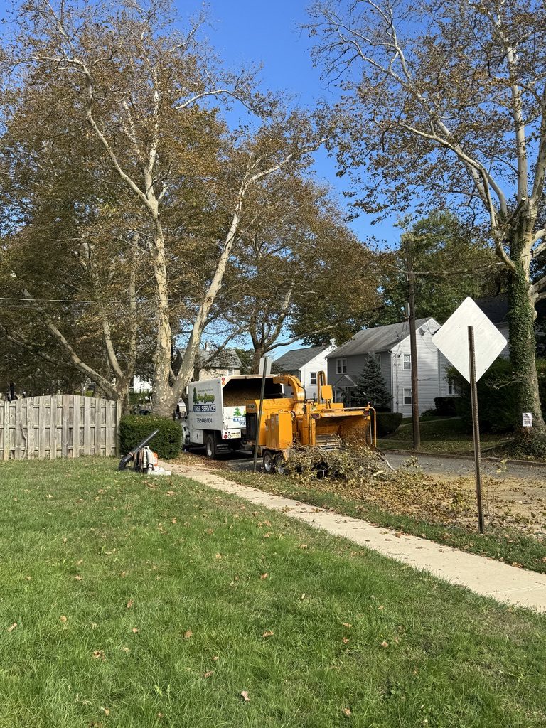 Crane-assisted tree service in Freehold, NJ — Pro-Stump Tree Service, ISA Certified Arborist on staff