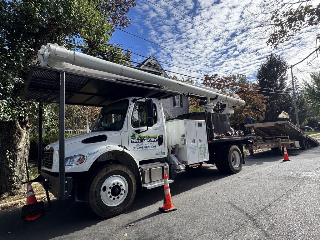 Crane-assisted sycamore removal on a residential Freehold NJ street — Pro-Stump Tree Service Terex Stinger crane truck