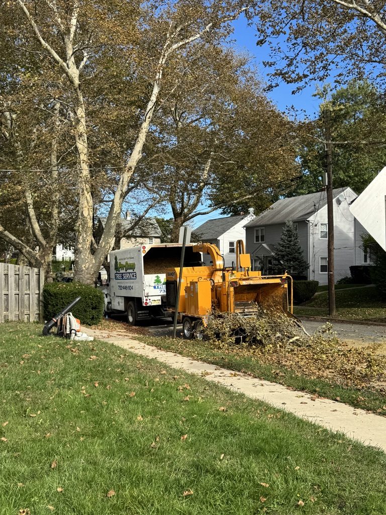 Terex Stinger crane truck extended for tree removal in Freehold, NJ — Pro-Stump Tree Service, family-owned tree service since 1987