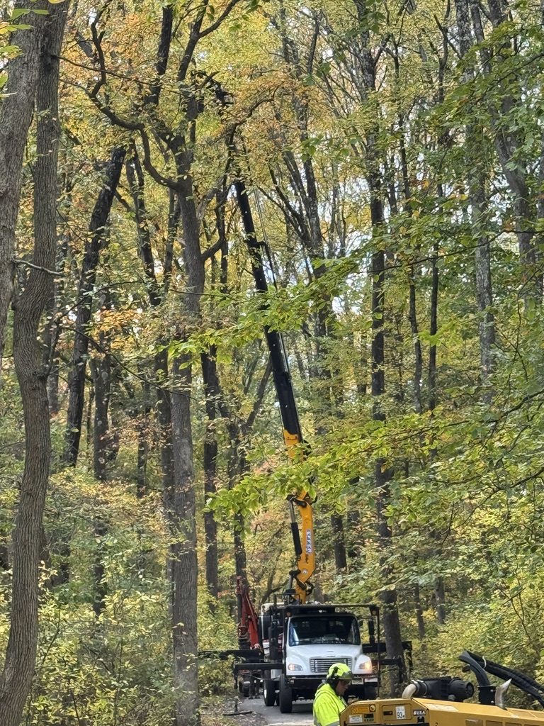 Municipal tree work for Hamilton Township — Pro-Stump Tree Service at Hamilton Veterans Park (family-owned since 1987)
