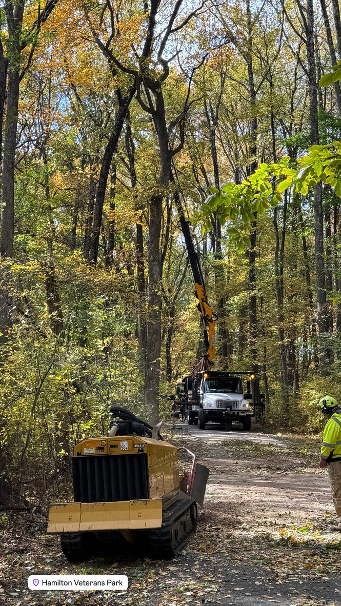 Kubota U55-4 excavator with grapple attachment clearing brush at Hamilton Veterans Park — Pro-Stump Tree Service, Hamilton Township NJ tree service