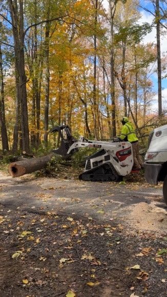 Bobcat MT100 loader on a tree removal — Pro-Stump Tree Service