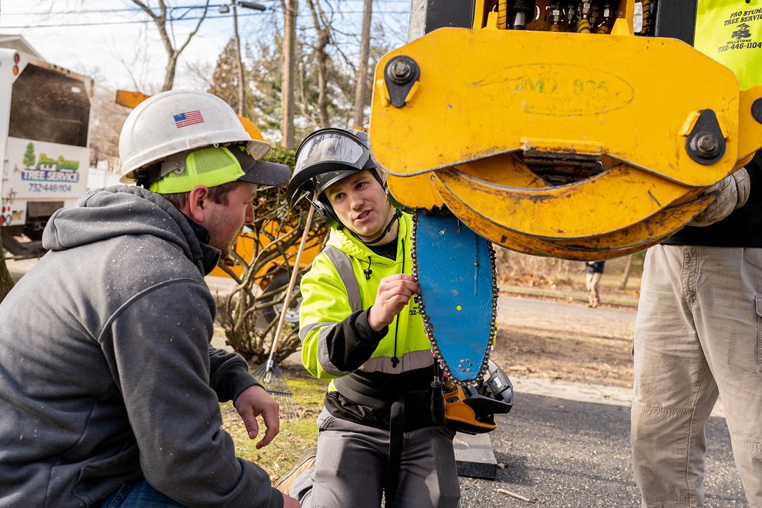 Bandit wood chipper on a residential job — Pro-Stump Tree Service