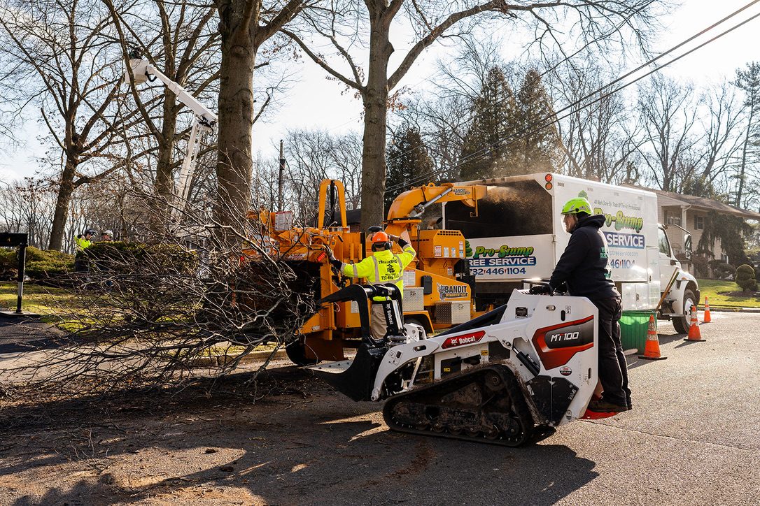 Bandit wood chipper on a residential job — Pro-Stump Tree Service