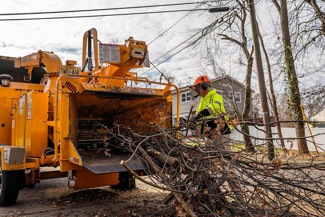 Bandit wood chipper on a residential job — Pro-Stump Tree Service