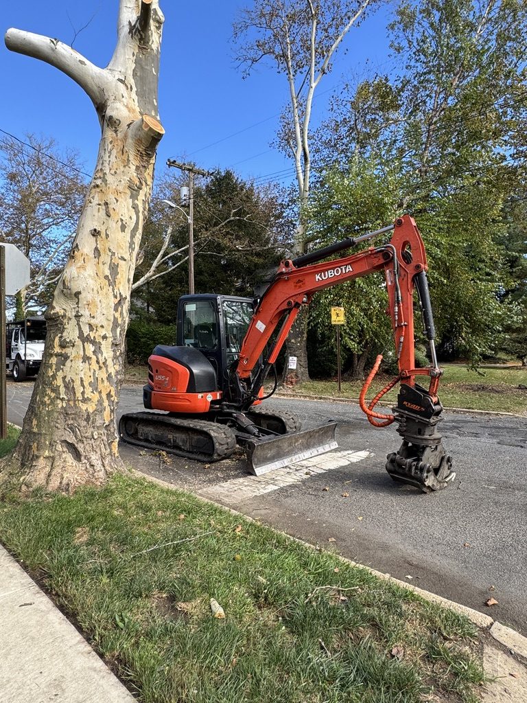 Crane-assisted sycamore removal — Pro-Stump Tree Service