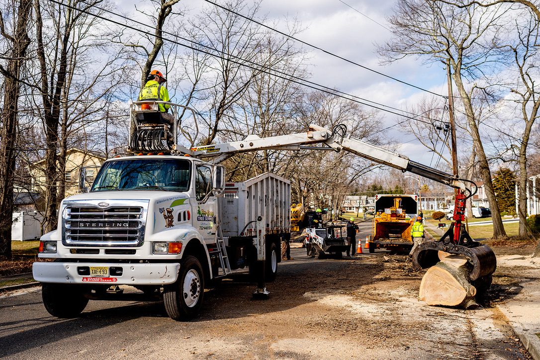 Crane-assisted tree removal by Pro-Stump Tree Service — 40-ton Terex Stinger