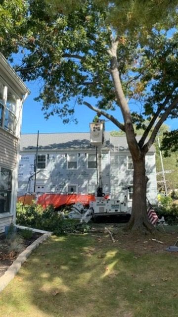 Crane-assisted tree removal — Central NJ — Pro-Stump Tree Service