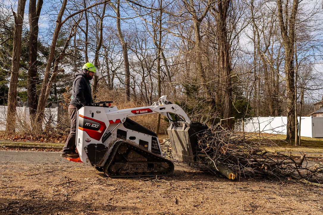 Crane-assisted tree removal — Central NJ — Pro-Stump Tree Service