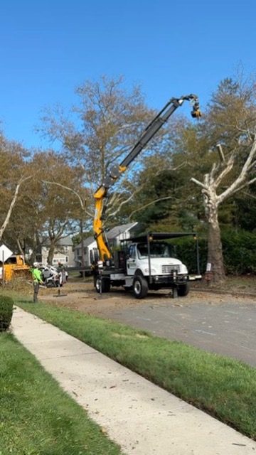 Pro-Stump Tree Service crane truck on a worksite