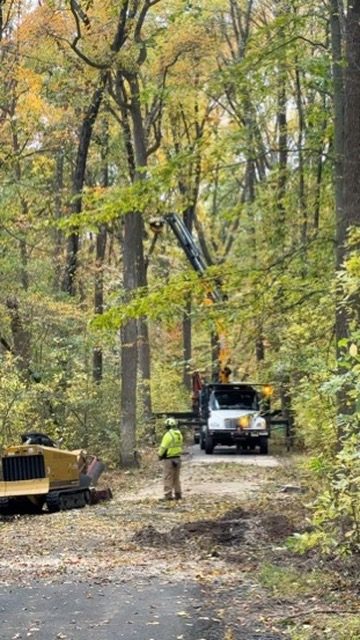 Crane truck operating on a wooded property — Pro-Stump Tree Service