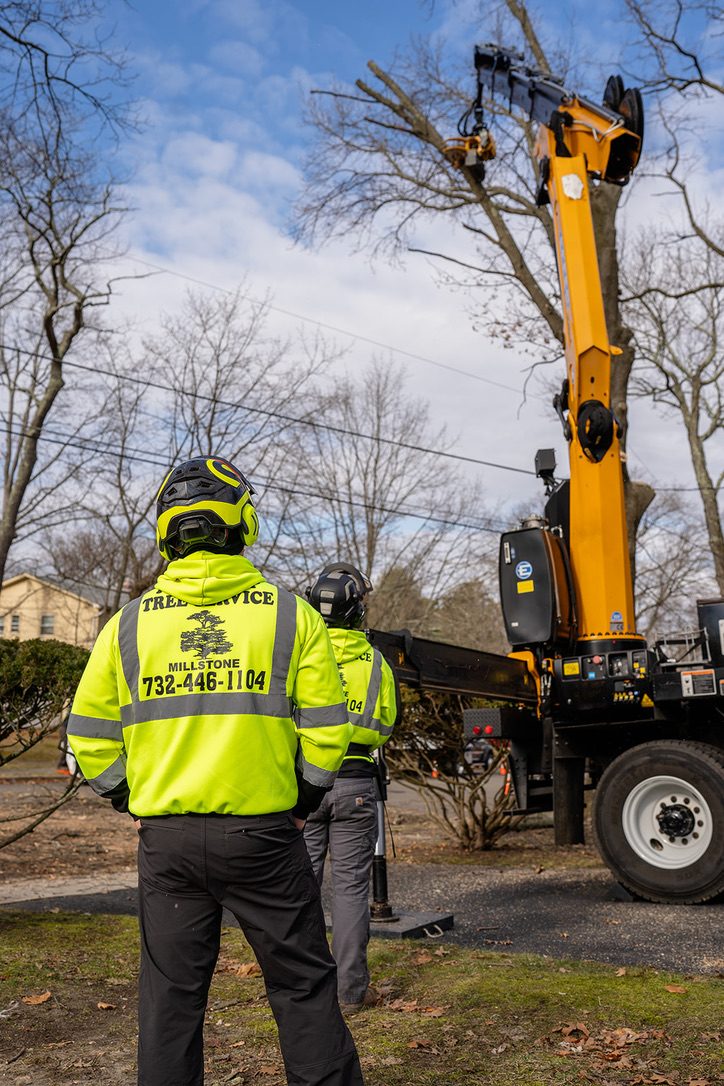 Pro-Stump crew operating a crane on a removal