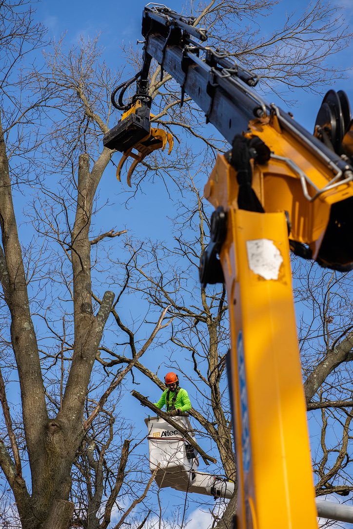 Dual-crane technical tree removal — Central NJ — Pro-Stump Tree Service
