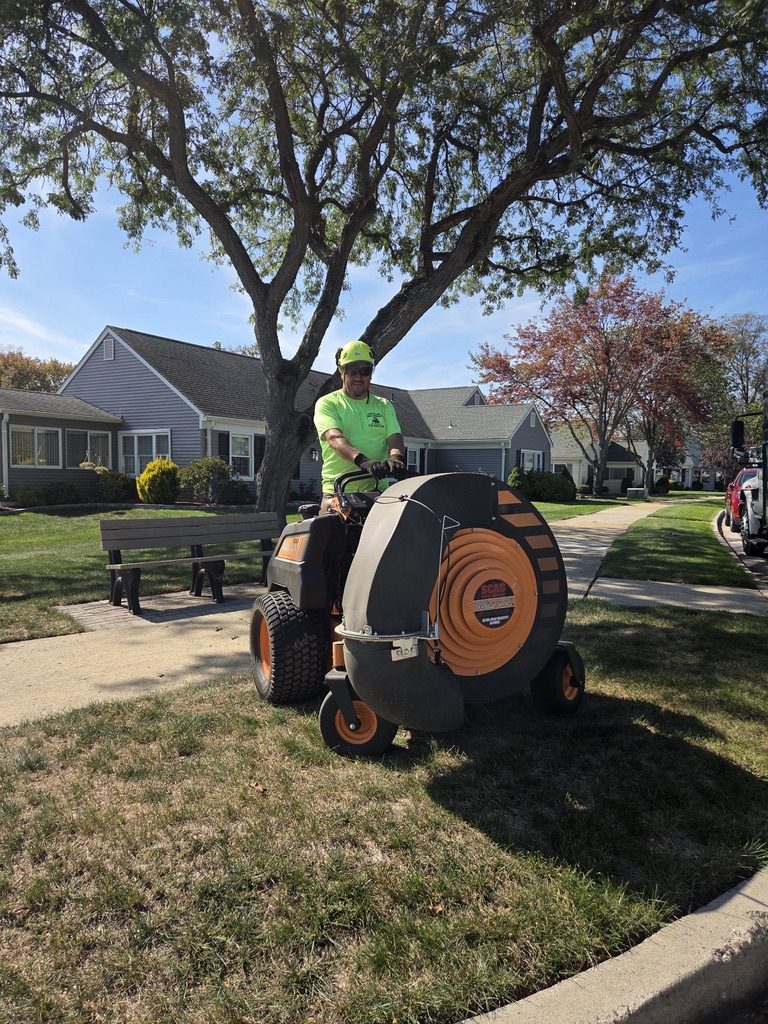 Post-job cleanup on a property — Pro-Stump Tree Service