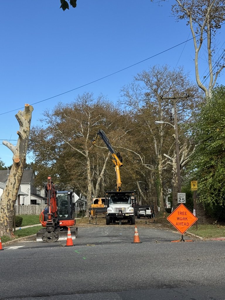 Kubota excavator on a tree removal — Pro-Stump Tree Service