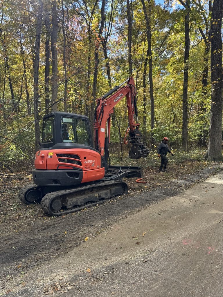 Forest tree service and land clearing at a municipal park — Pro-Stump Tree Service