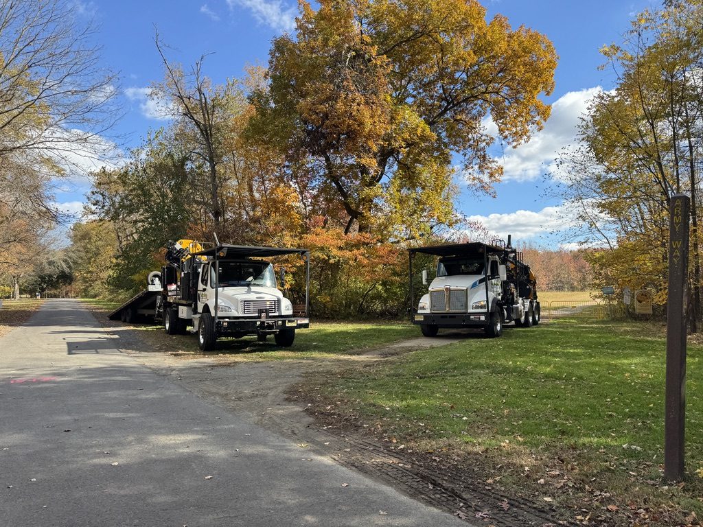 Forest tree service and land clearing at a municipal park — Pro-Stump Tree Service