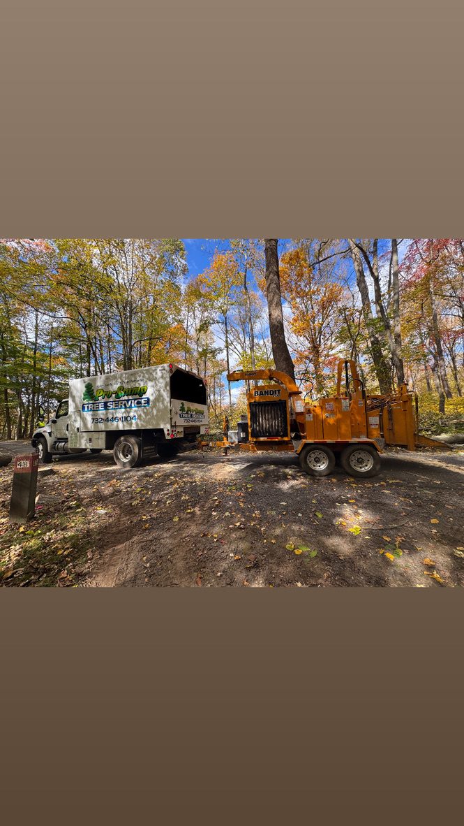 Bandit brush chipper during park land clearing — Pro-Stump Tree Service