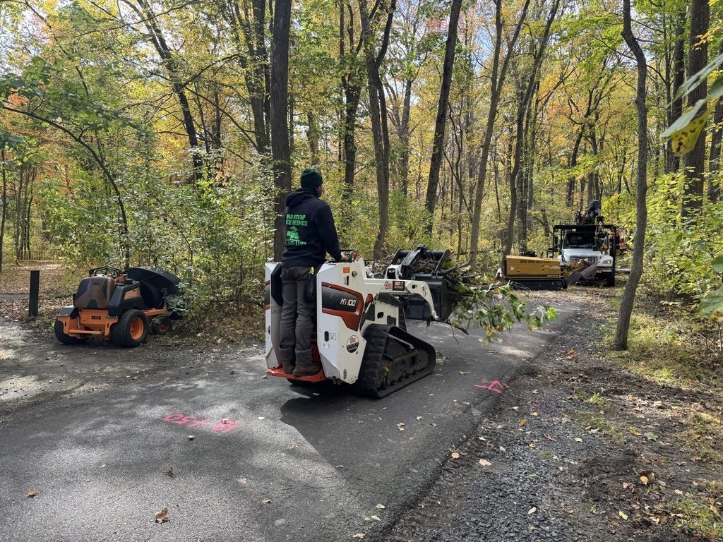 Bandit brush chipper during park land clearing — Pro-Stump Tree Service
