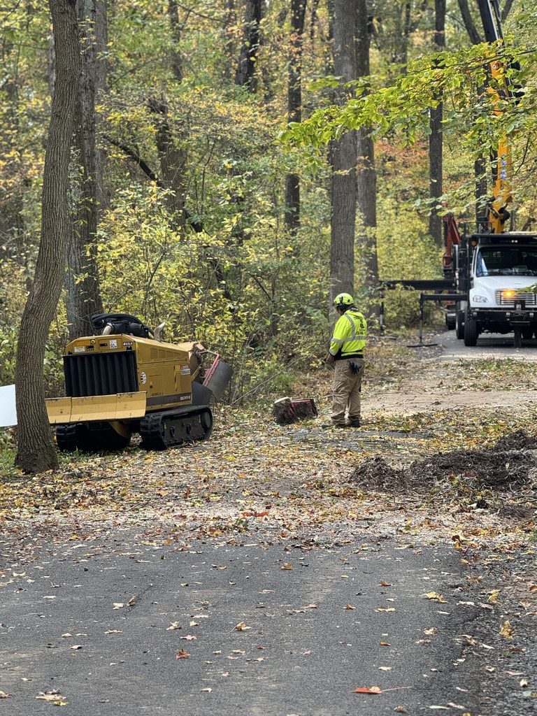 Bandit brush chipper during park land clearing — Pro-Stump Tree Service