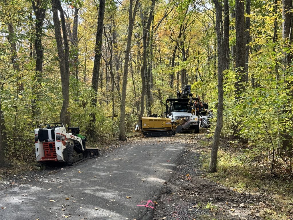 Bobcat track loader during park tree work — Pro-Stump Tree Service