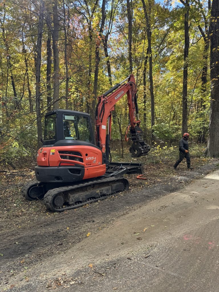Kubota U55-4 excavator during municipal park land clearing — Pro-Stump Tree Service