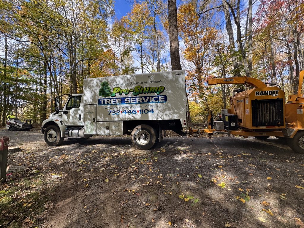 Kubota U55-4 excavator during municipal park land clearing — Pro-Stump Tree Service