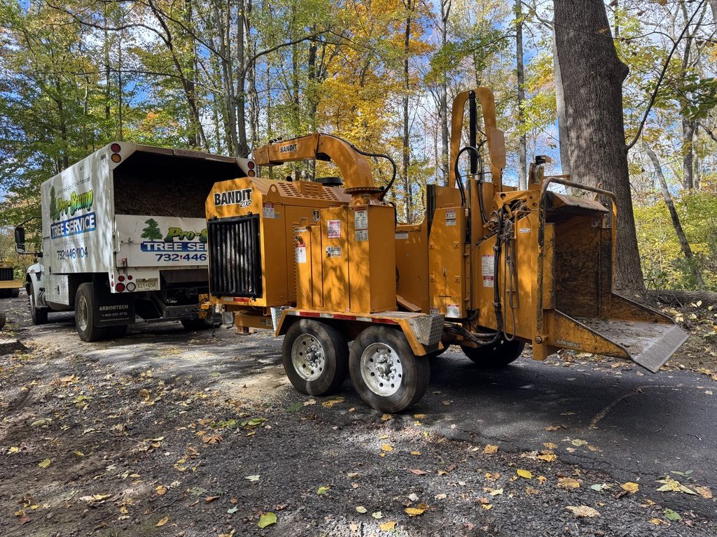 Kubota U55-4 excavator during municipal park land clearing — Pro-Stump Tree Service