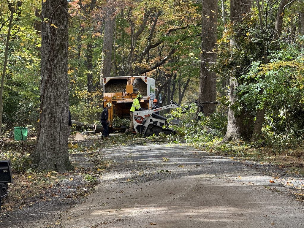 Kubota U55-4 excavator during municipal park land clearing — Pro-Stump Tree Service