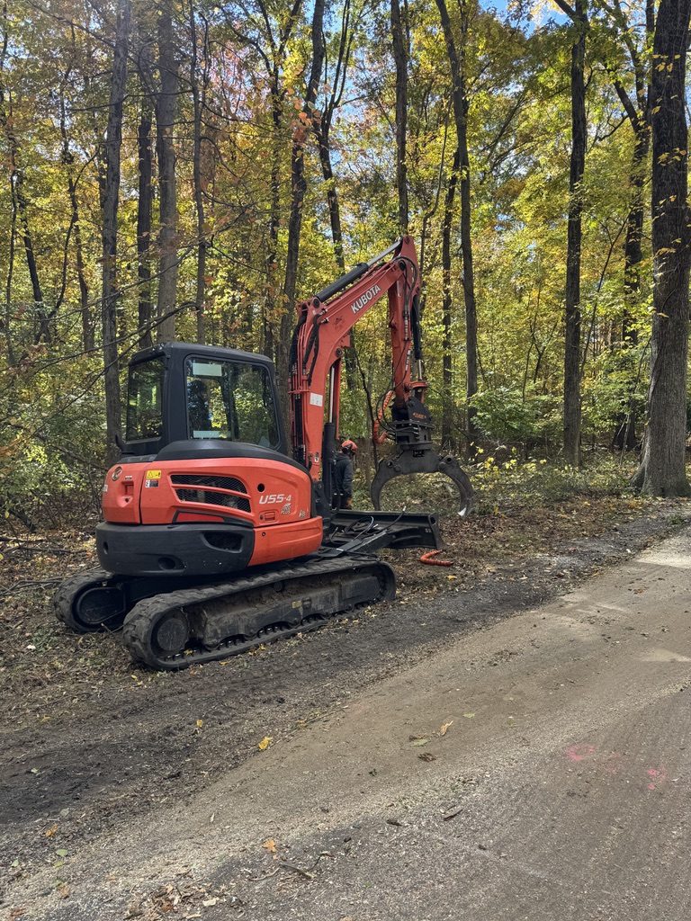 Log processing during park land clearing — Pro-Stump Tree Service