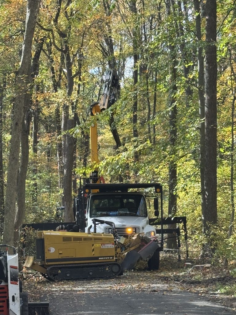Grapple-saw crane truck at a municipal park tree service project — Pro-Stump Tree Service