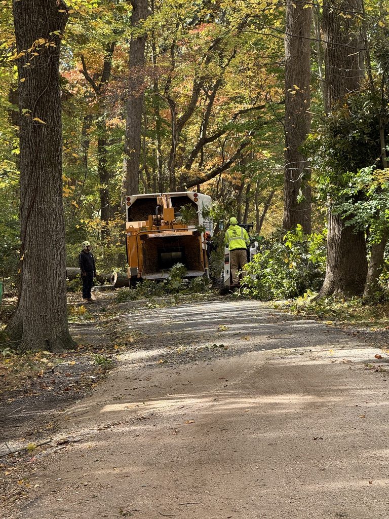 Grapple-saw crane truck at a municipal park tree service project — Pro-Stump Tree Service