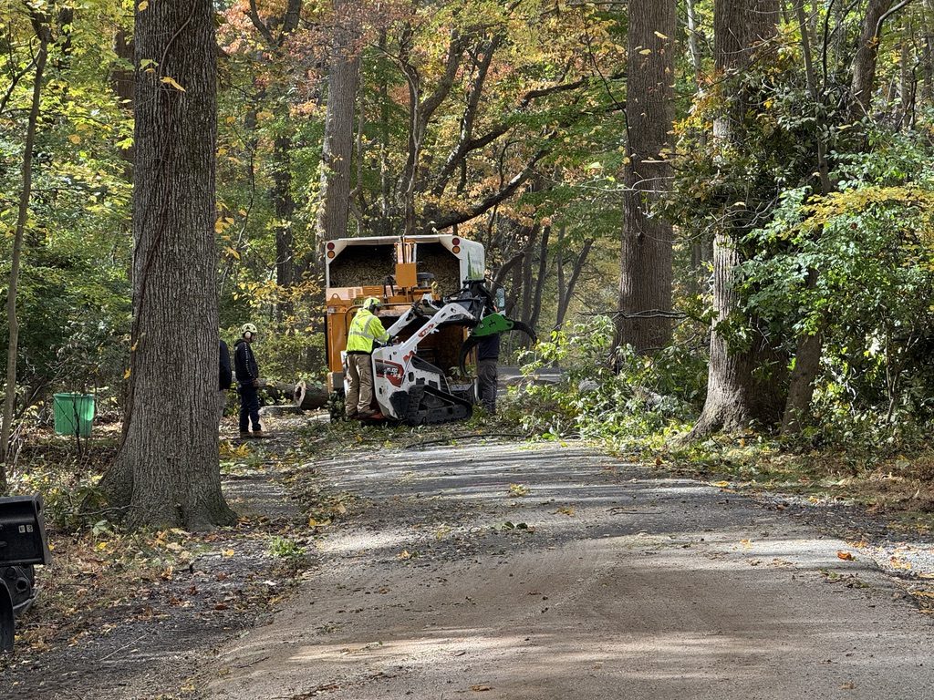 Pro-Stump Tree Service work truck at a park land-clearing site — Central NJ