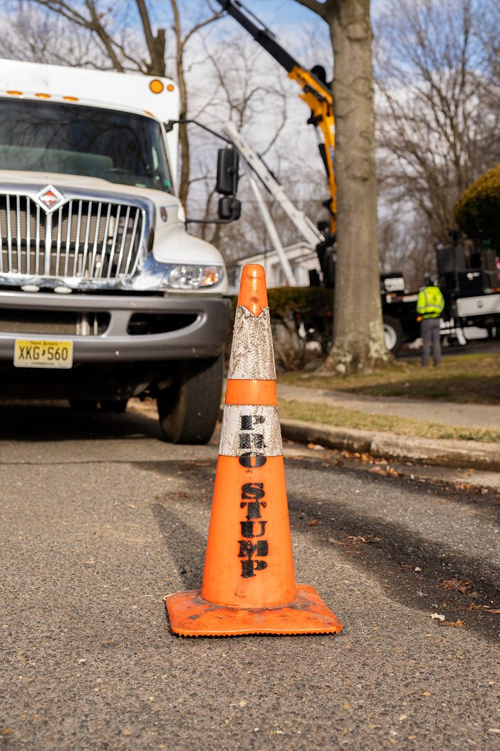 Pro-Stump Tree Service branded safety cone on a worksite