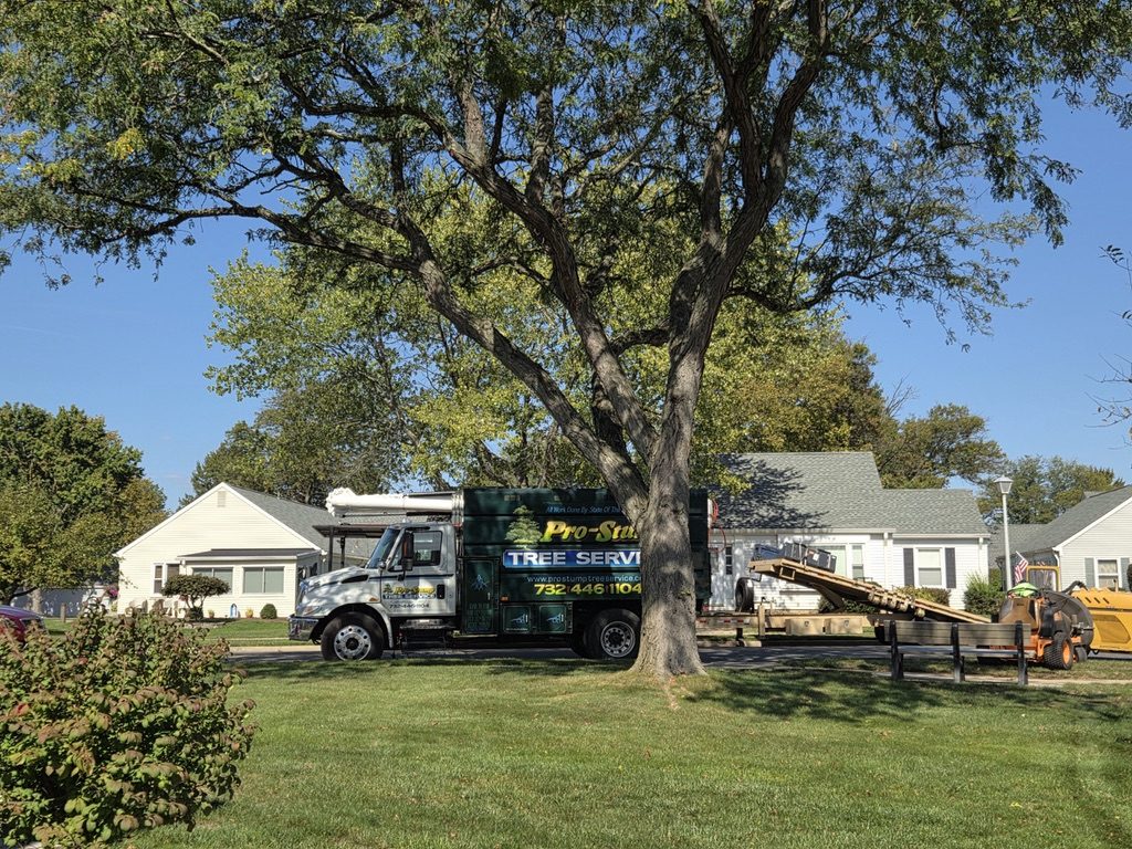 Pro-Stump Tree Service work truck on a residential job