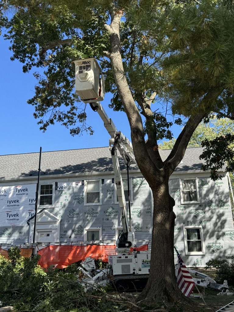 Pro-Stump Tree Service work truck on a residential job