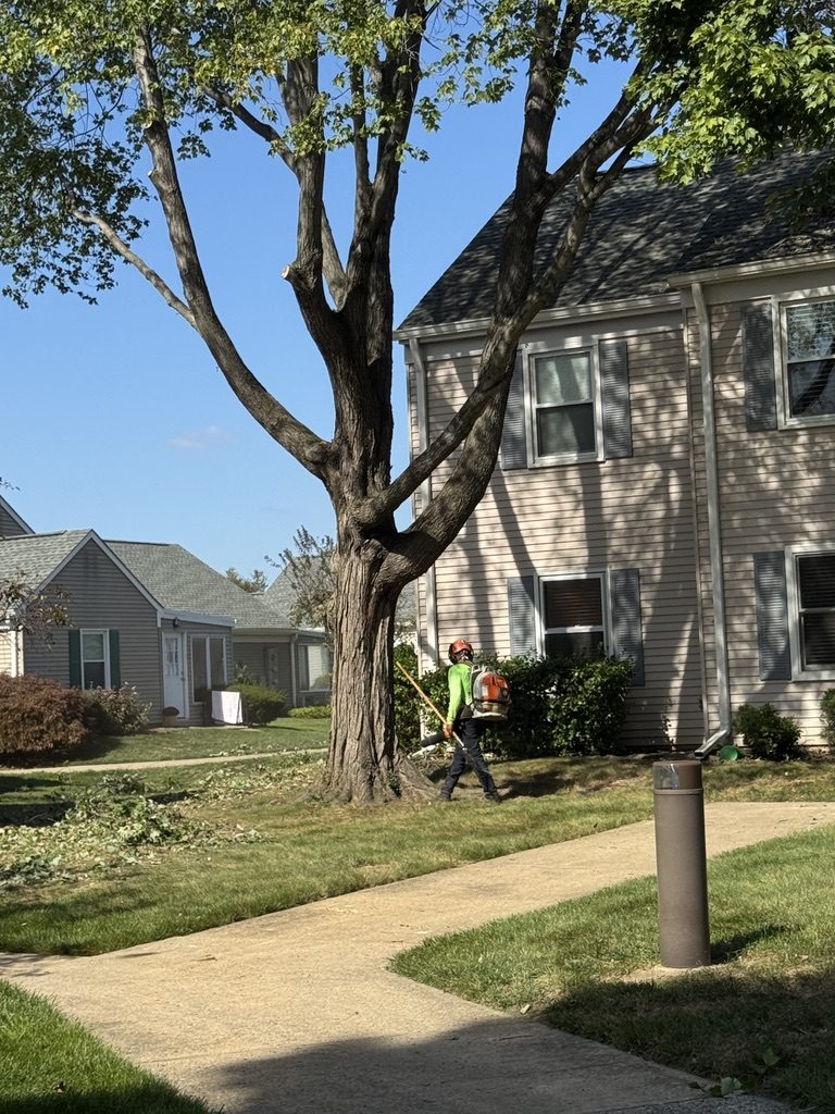 Pro-Stump Tree Service work truck on a residential job