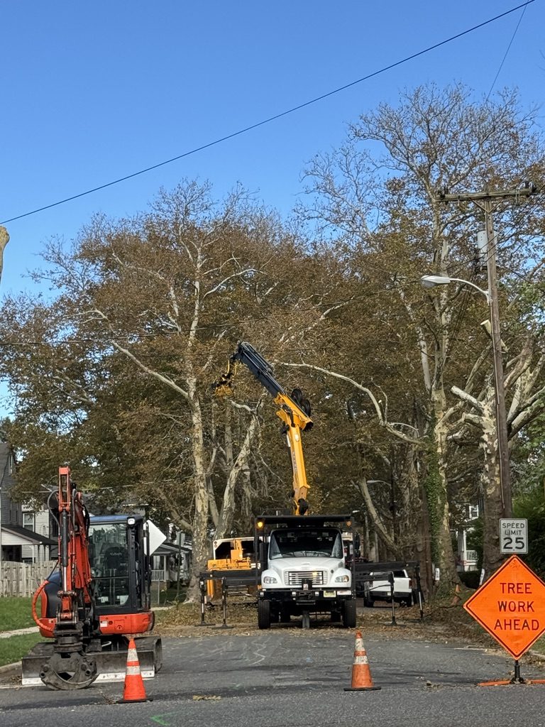 Residential crane tree removal — Pro-Stump Tree Service
