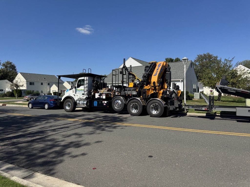 Residential hardwood tree service — Pro-Stump Tree Service