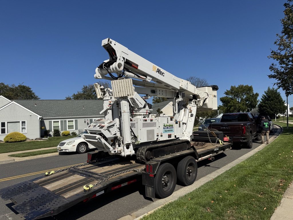Residential oak tree service — Pro-Stump Tree Service