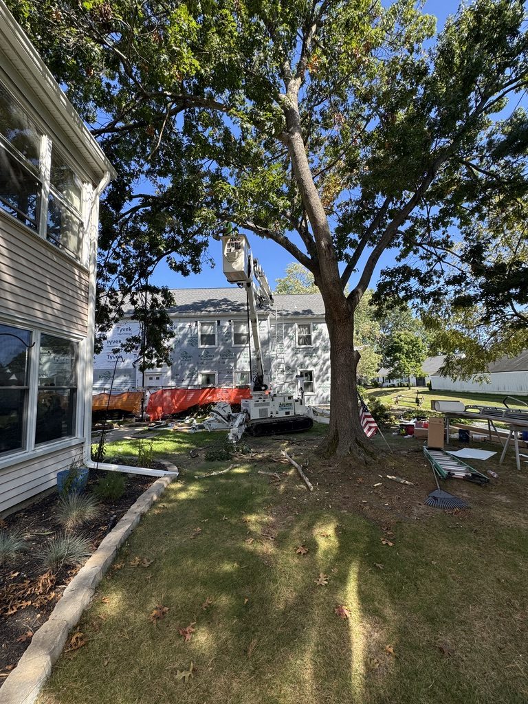 Residential property tree service — Pro-Stump Tree Service