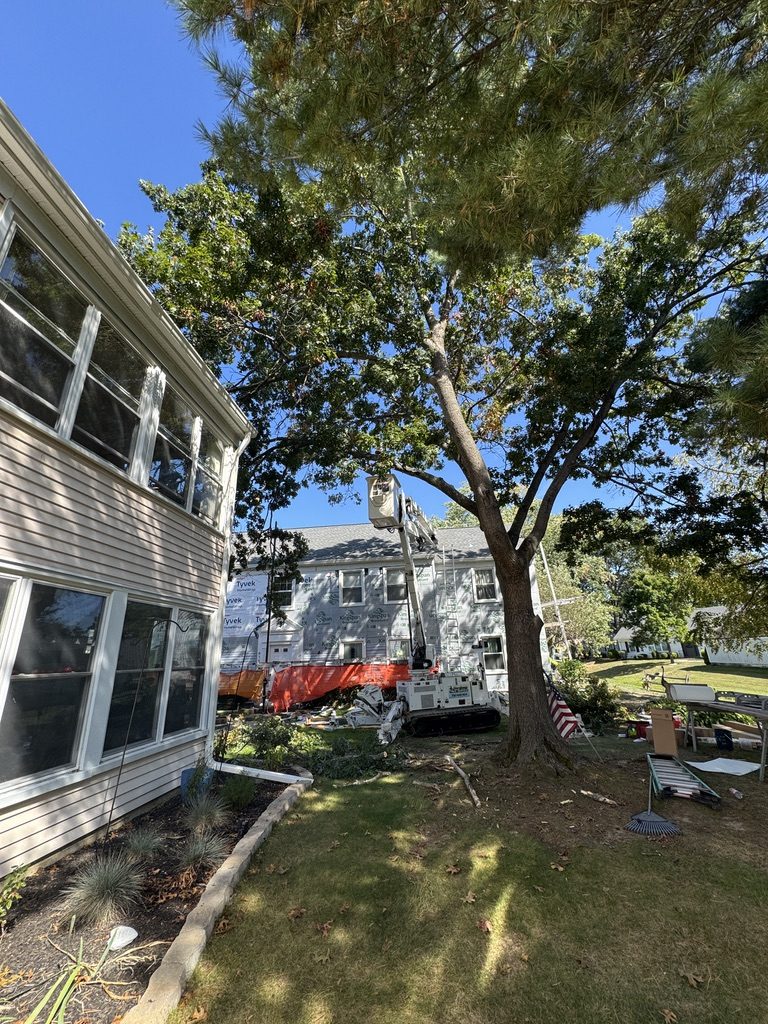 Residential tree pruning — Central NJ — Pro-Stump Tree Service