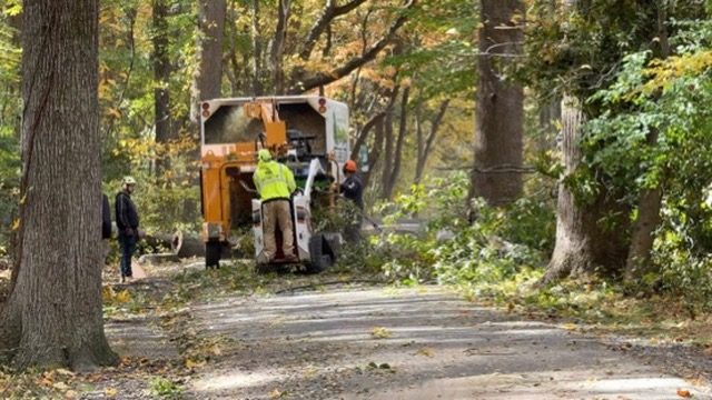 Storm damage tree cleanup — Central NJ — Pro-Stump Tree Service