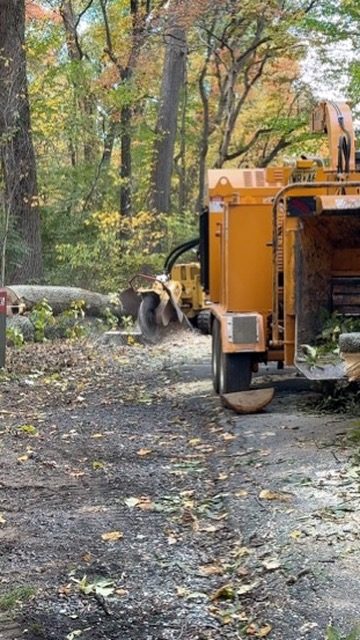 Storm damage tree cleanup — Central NJ — Pro-Stump Tree Service