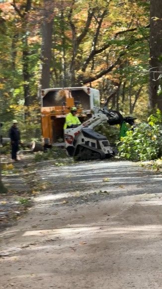 Storm damage tree cleanup — Central NJ — Pro-Stump Tree Service