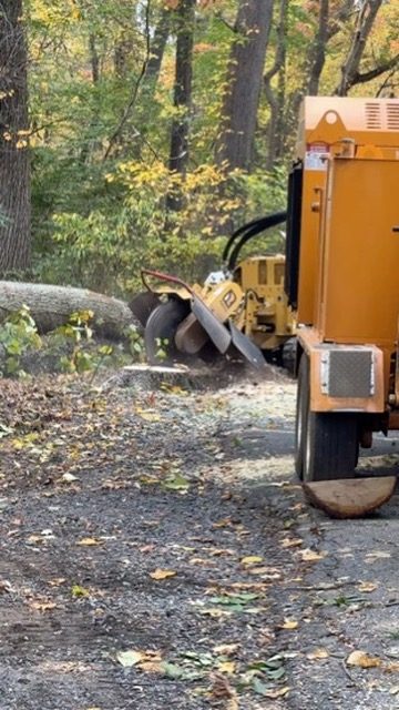 Storm damage tree cleanup — Central NJ — Pro-Stump Tree Service