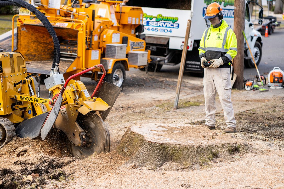 Commercial stump grinding — Central NJ — Pro-Stump Tree Service