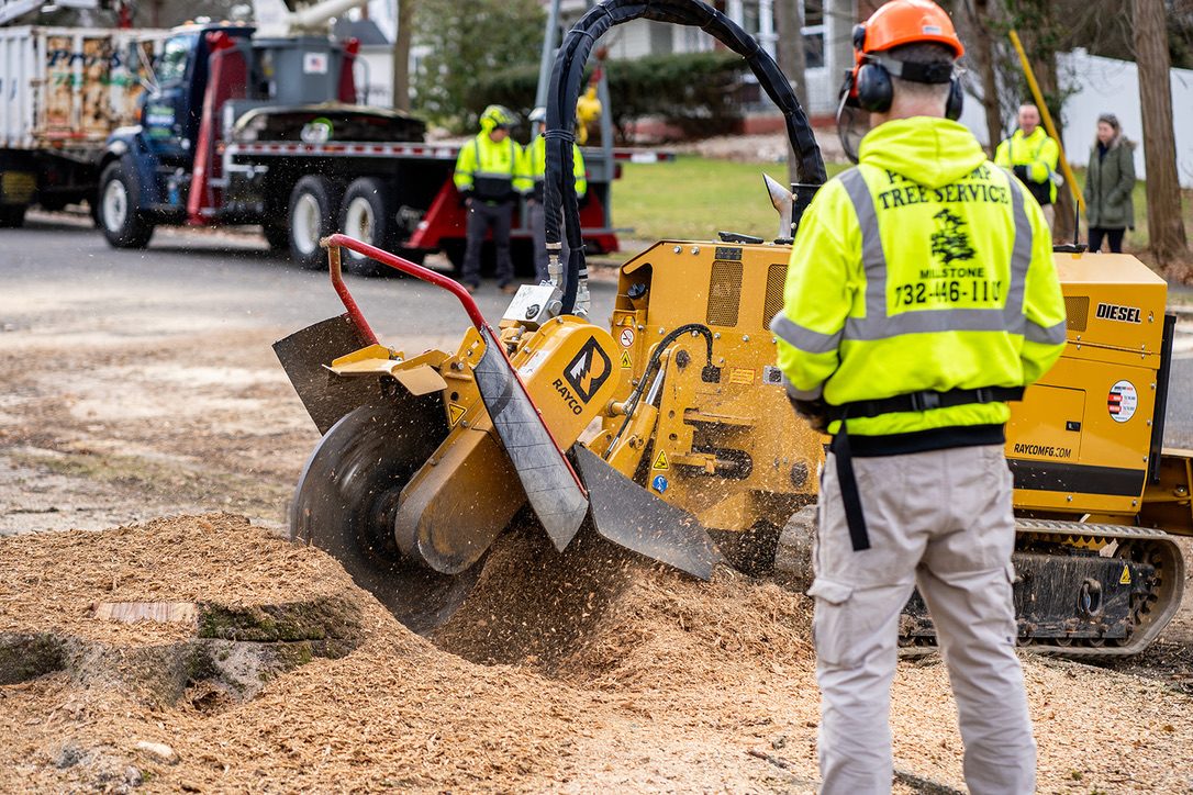 Commercial stump grinding — Central NJ — Pro-Stump Tree Service