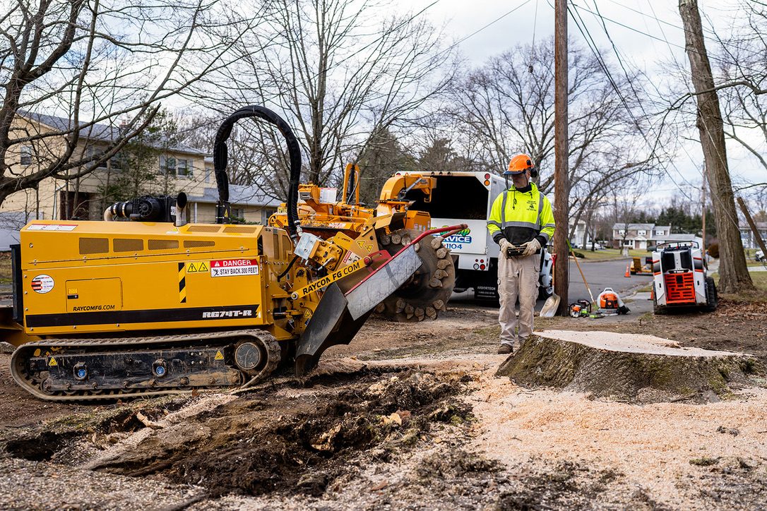 Commercial stump grinding — Central NJ — Pro-Stump Tree Service